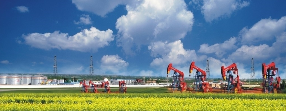 油田能源审计报告